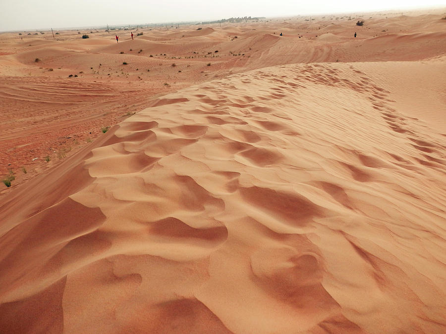 Desert Scene Photograph by Pema Hou