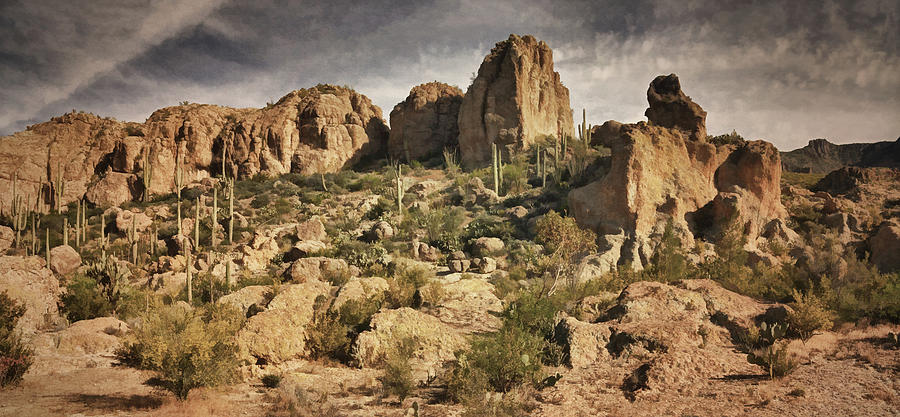 Desert Scenic bz Photograph by Theo OConnor