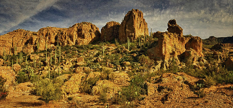 Desert Scenic mx Photograph by Theo OConnor