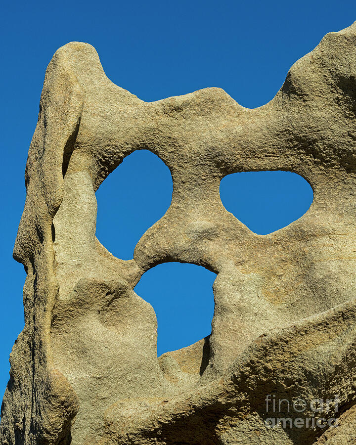 Scream Photograph - Desert Scream by Mike Dawson Scream Photograph - Desert Scream by Mike Dawson