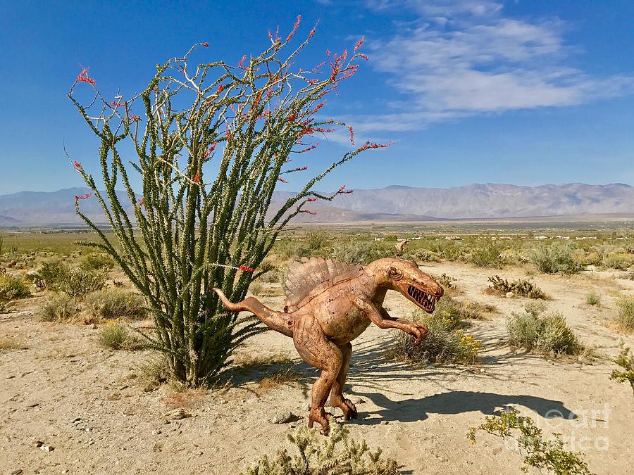 Desert Sculpture 3 Photograph by Sean Griffin