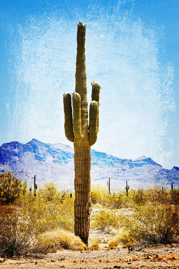 Desert Sentinel Digital Art by Tatiana Travelways