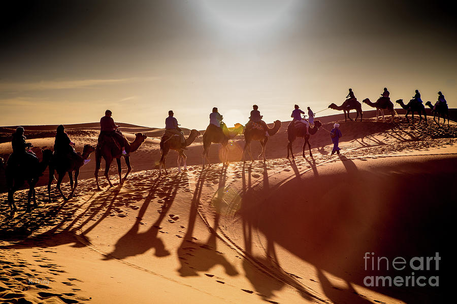 Desert Shadow Caravan Photograph by Rene Triay FineArt Photos