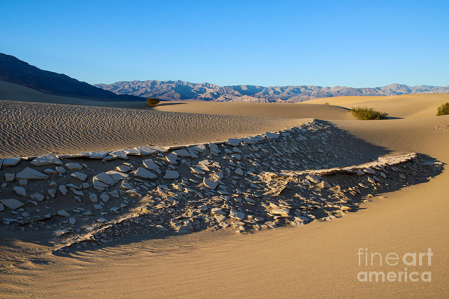 Desert Shells Photograph by Suzanne Luft