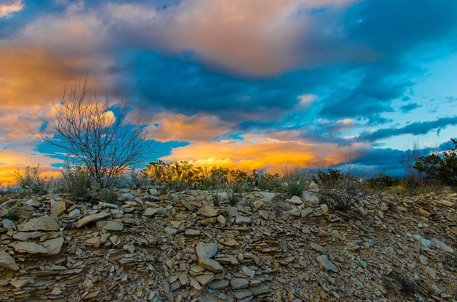 Desert Photograph - Desert Skies by Bob Marquis