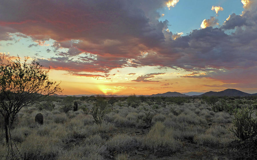Desert Skies Photograph by Gordon Beck