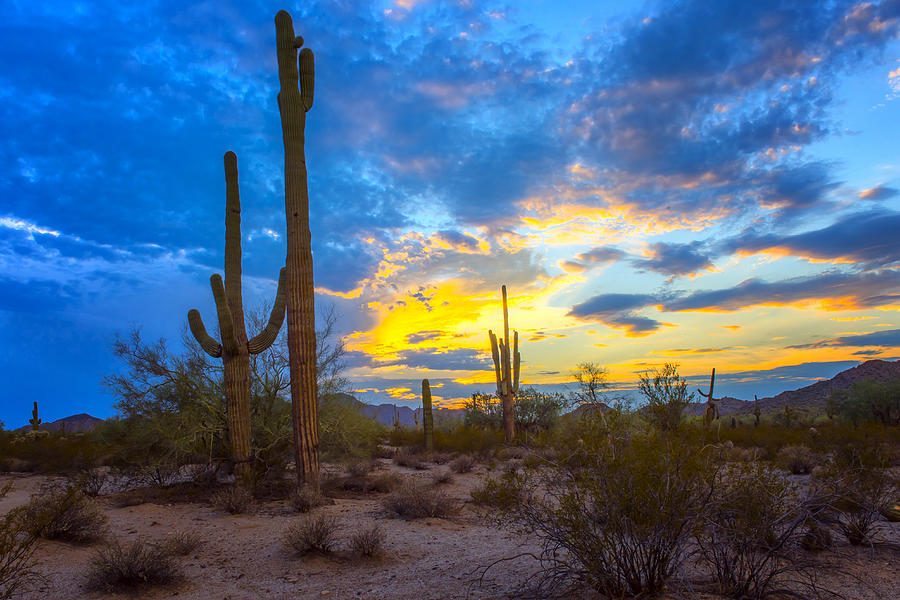 Sunset Photograph - Desert Sky At Sunset - Arizona by Jon Berghoff
