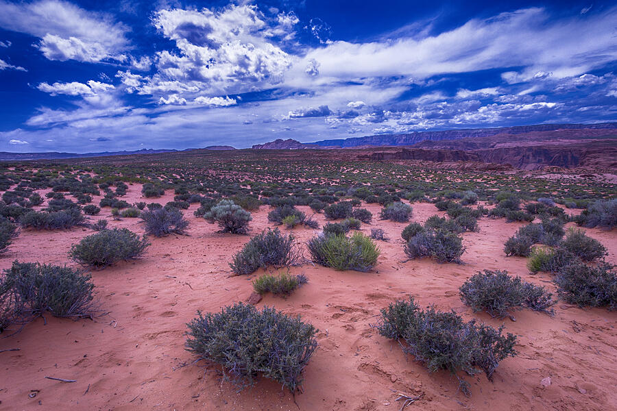 Desert Sky Photograph by Garry Gay
