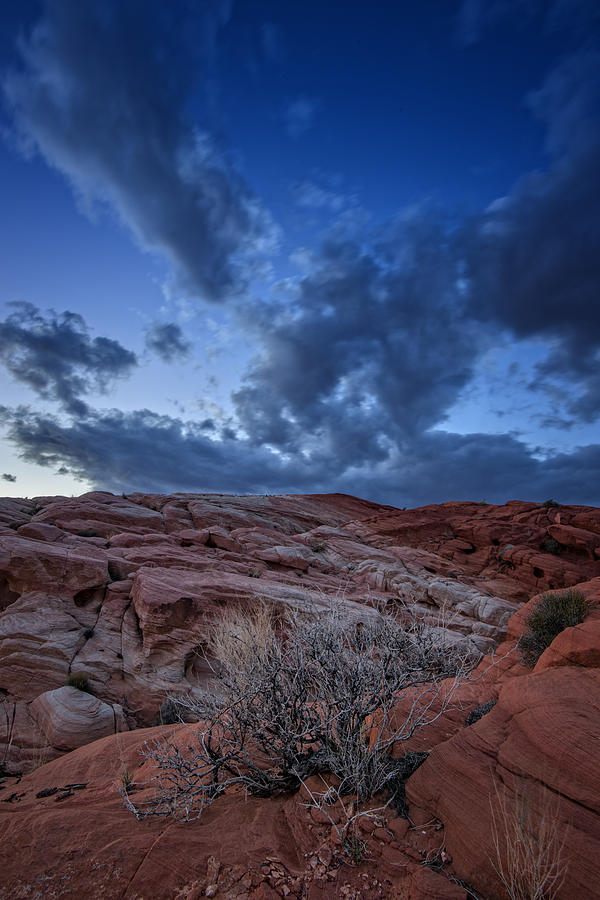 Desert Photograph - Desert Sky by Rick Berk