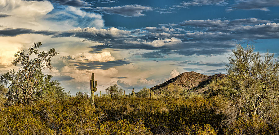 Desert Sky - San Tan Arizona Photograph by Jon Berghoff