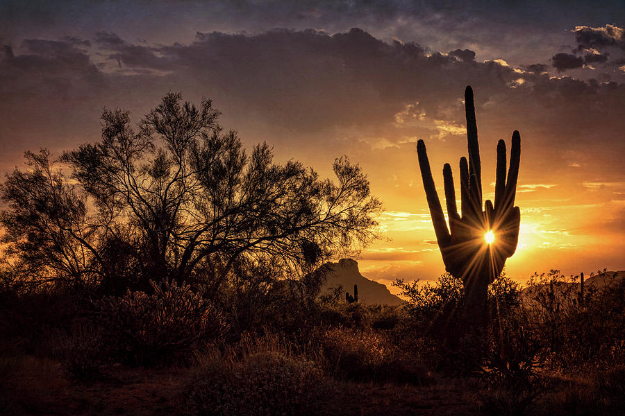 Sunset Photograph - Desert Skylight  by Saija Lehtonen