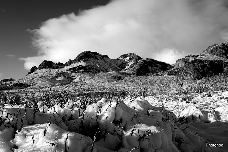 Landscape Photograph - Desert Snow  by Adam Jones