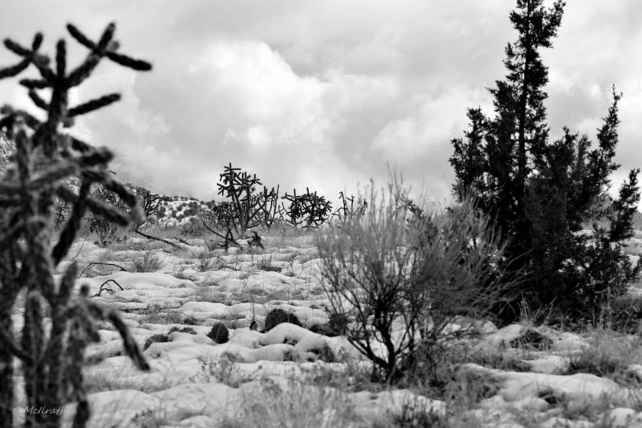 Desert Snow Photograph