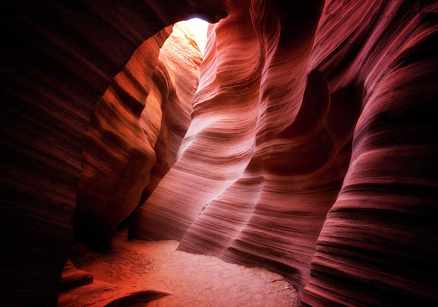 Desert Southwest Underworld Photograph by Nicki Frates