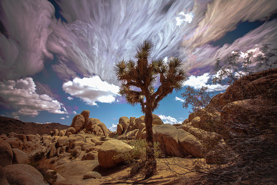 Desert Space Time 2 Photograph by Ryan Weddle