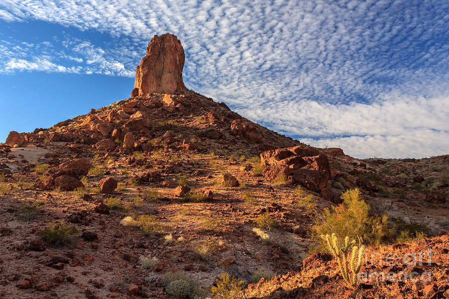 Desert Spire Photograph by James Eddy