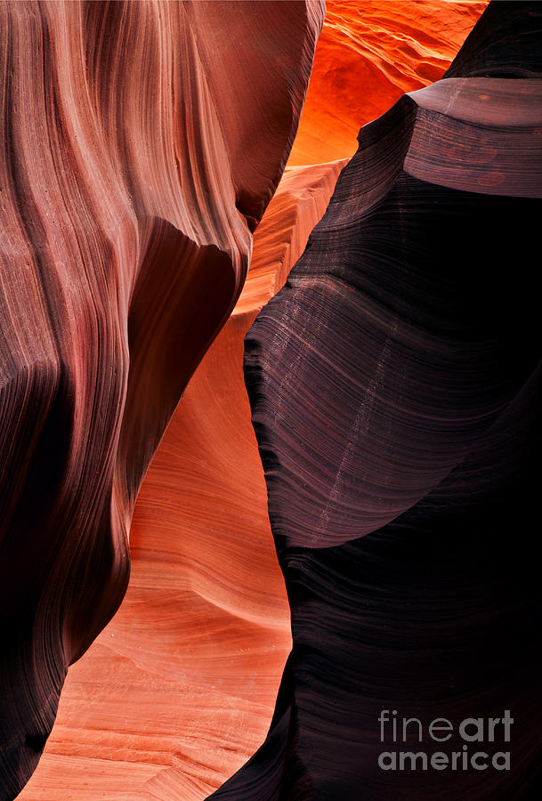 Desert Split Photograph by Michael Dawson