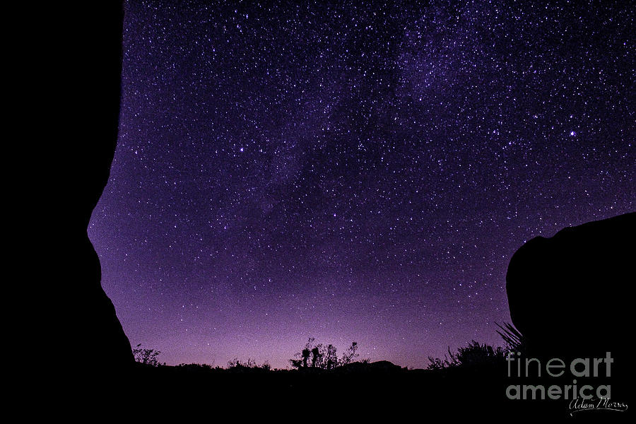 Desert Starscape Photograph by Adam Morsa