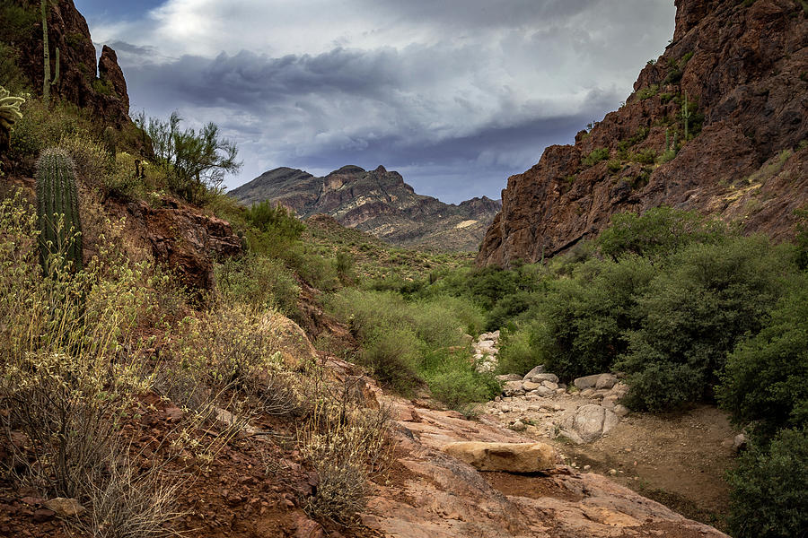 Desert Storm Brewing Photograph by Jen Manganello