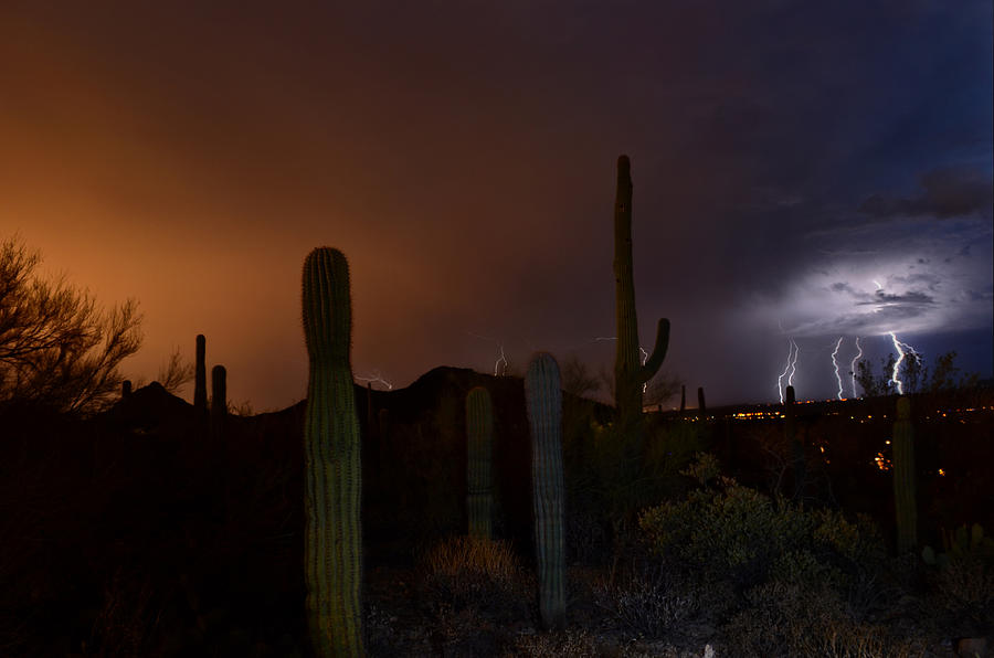 Desert Storm Photograph by Evelyn Harrison