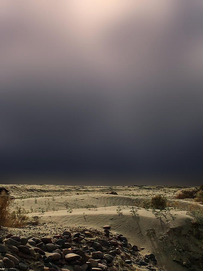 Desert Storm Greige Photograph by Stan  Magnan
