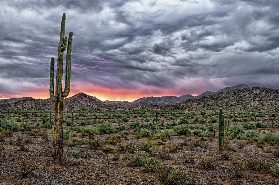 Desert Storm Photograph by Jim Painter