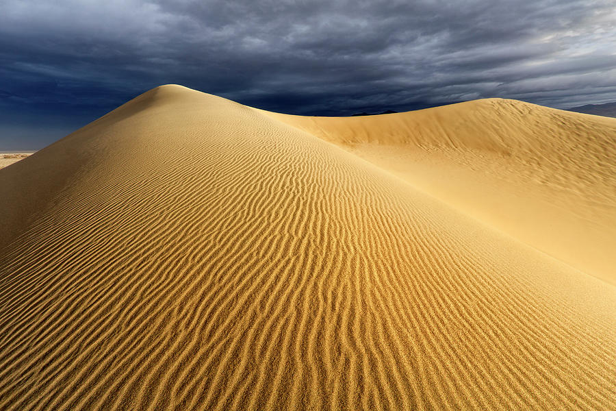 Desert Storm Photograph by Nicki Frates