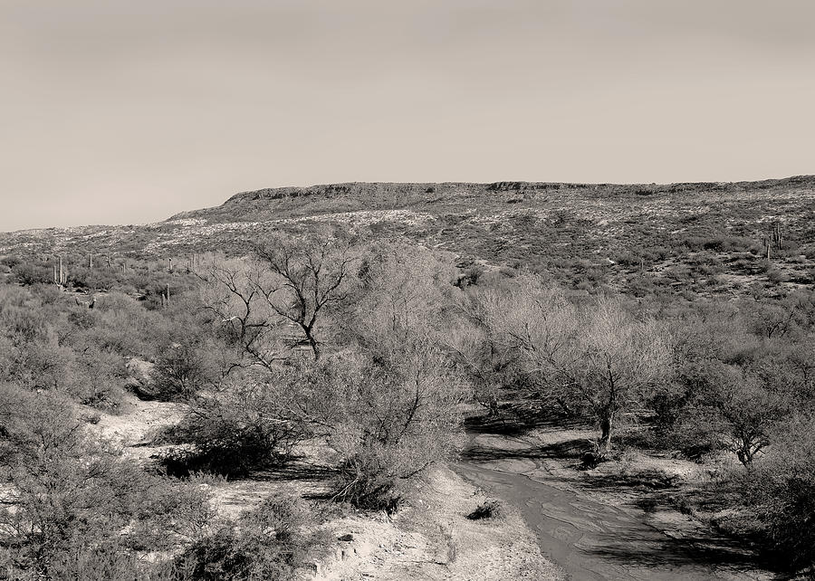 Mountain Photograph - Desert Stream Monochrome by Gordon Beck