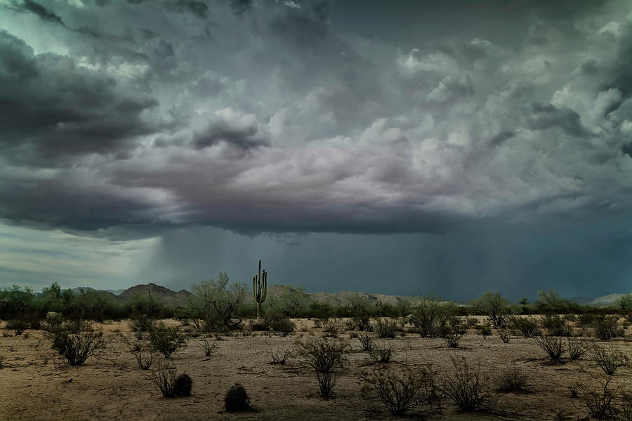 Desert Summer Rains Photograph by Saija Lehtonen