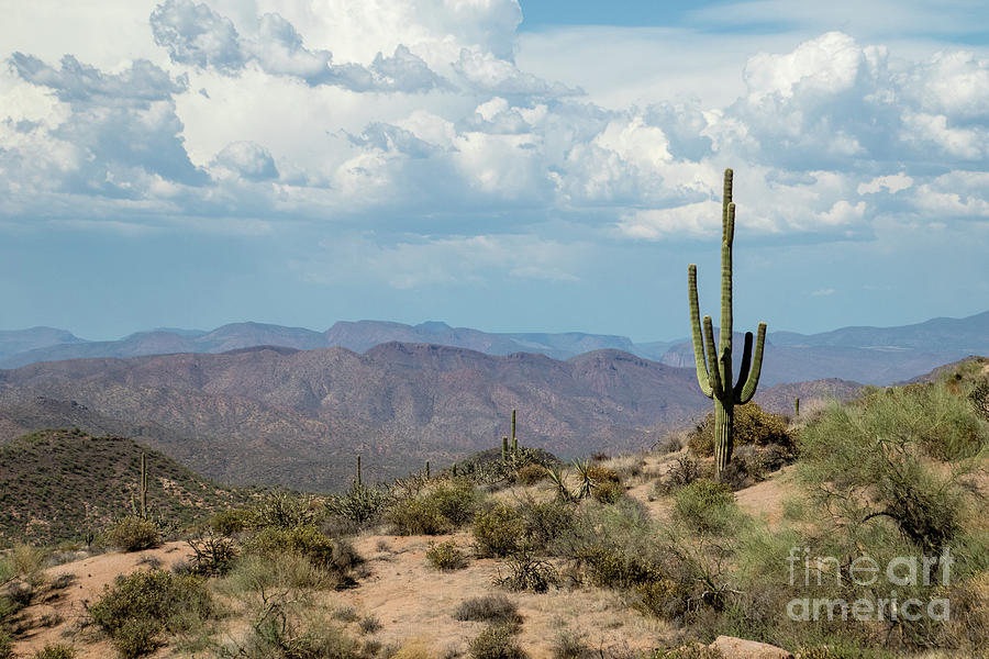 Desert Scene Photograph - Desert Summer Sky  LR9917 by Stephen Parker