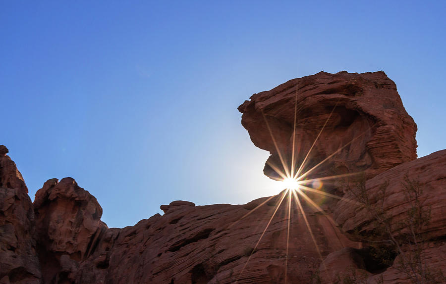 Desert Sun Photograph by Ed Clark