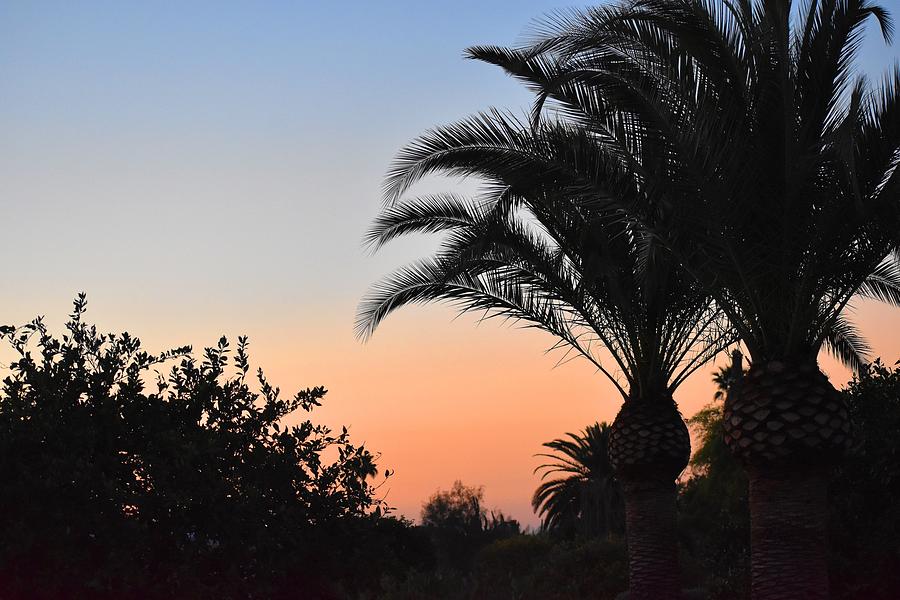 Desert Sunrise 1 Photograph by Nina Kindred