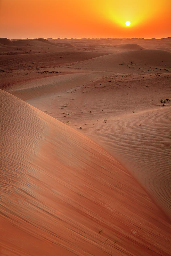 Desert sunrise Photograph by Alexey Stiop