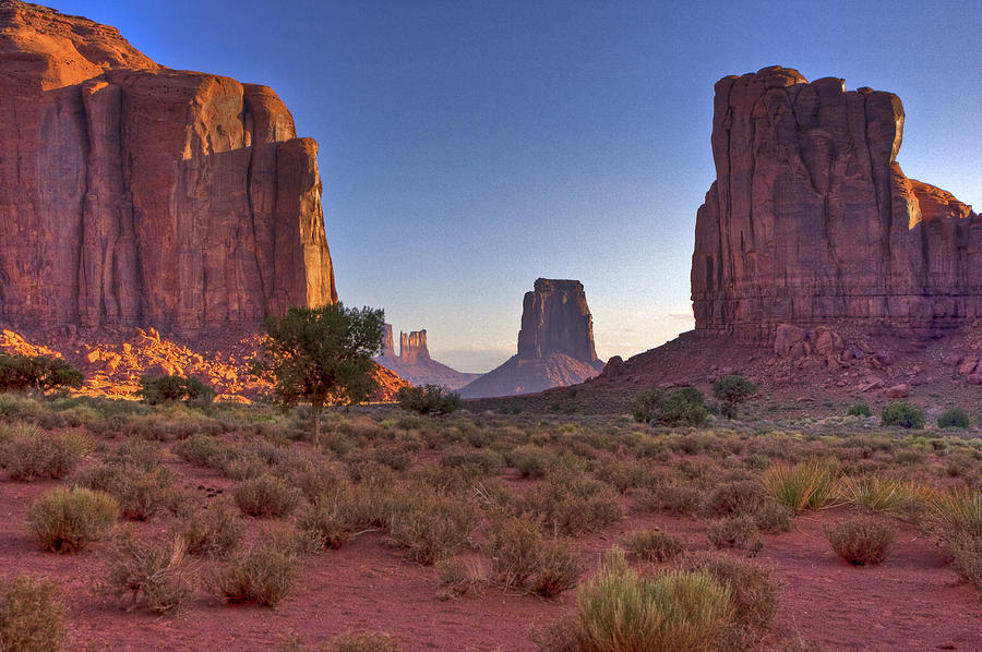 Desert Sunrise Photograph by Ches Black