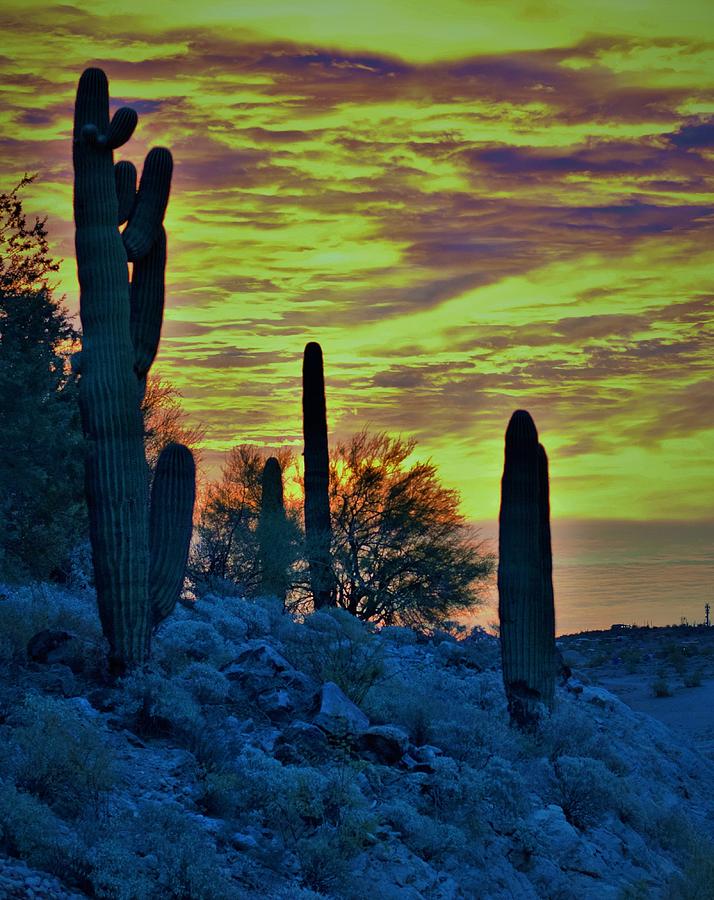 Desert Sunrise II Photograph by Mark Mitchell