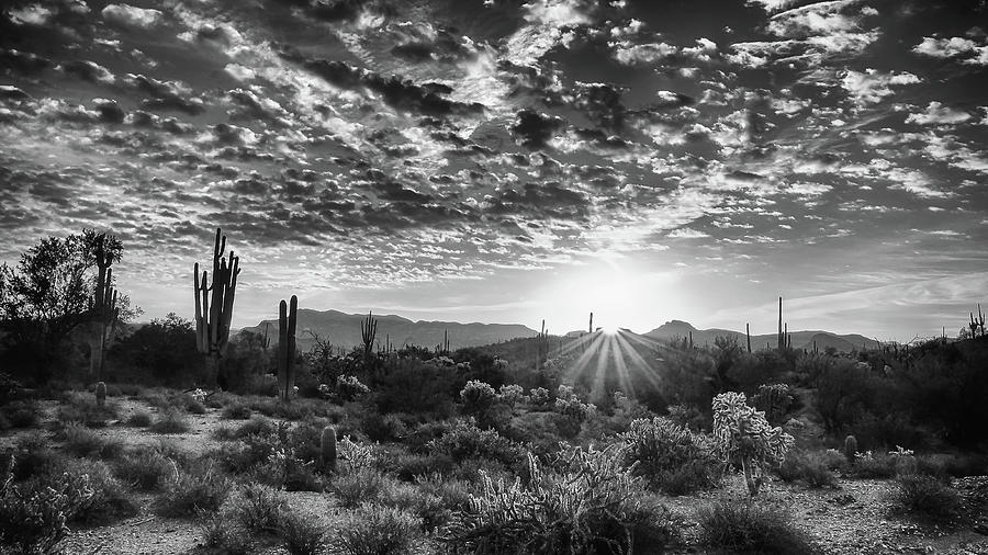 Desert Sunrise Photograph by Monte Stevens