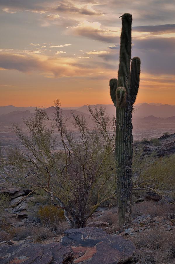 Desert Sunrise on a Mountain Photograph by Mark Mitchell