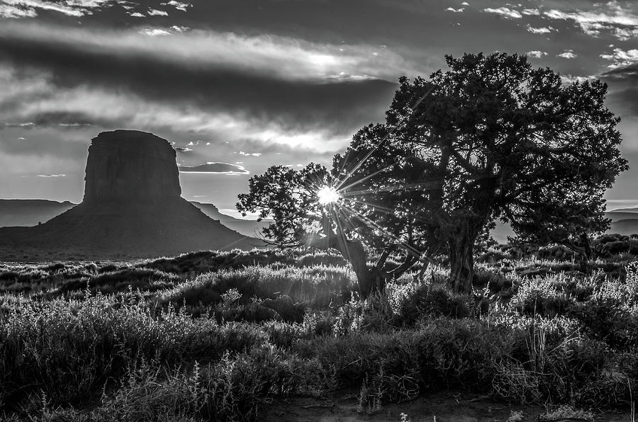 Desert Sunset Black and White Photograph by Eric Albright