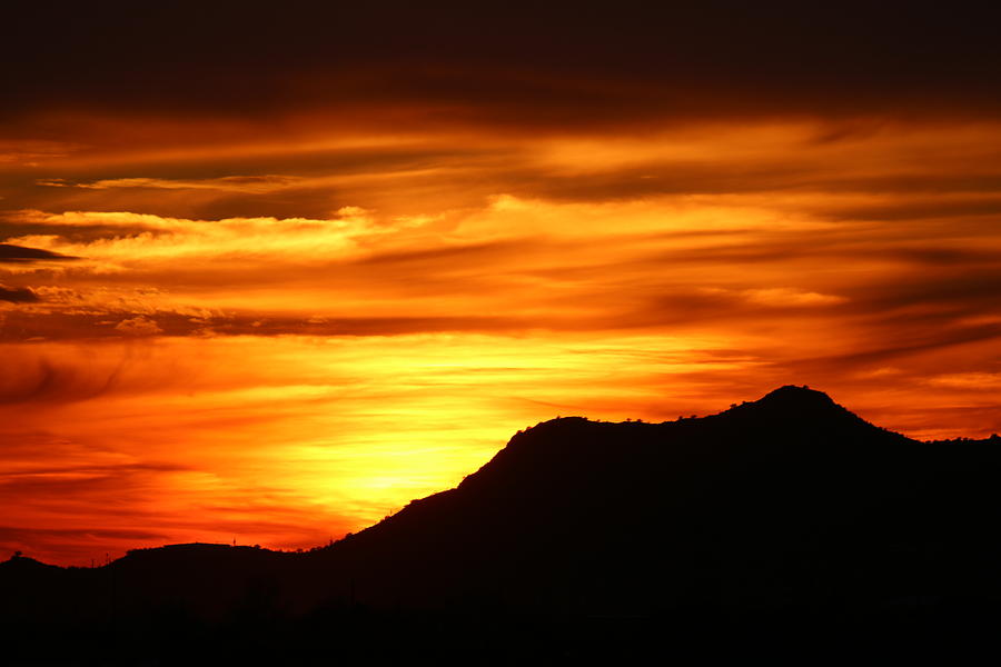Desert Sunset  Photograph by Christy Pooschke