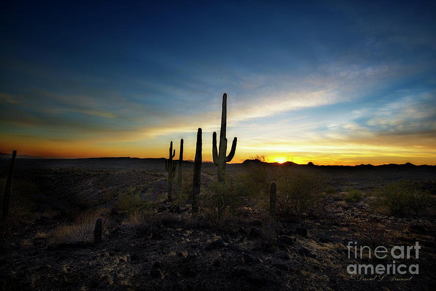 Desert Sunset Photograph by David Arment