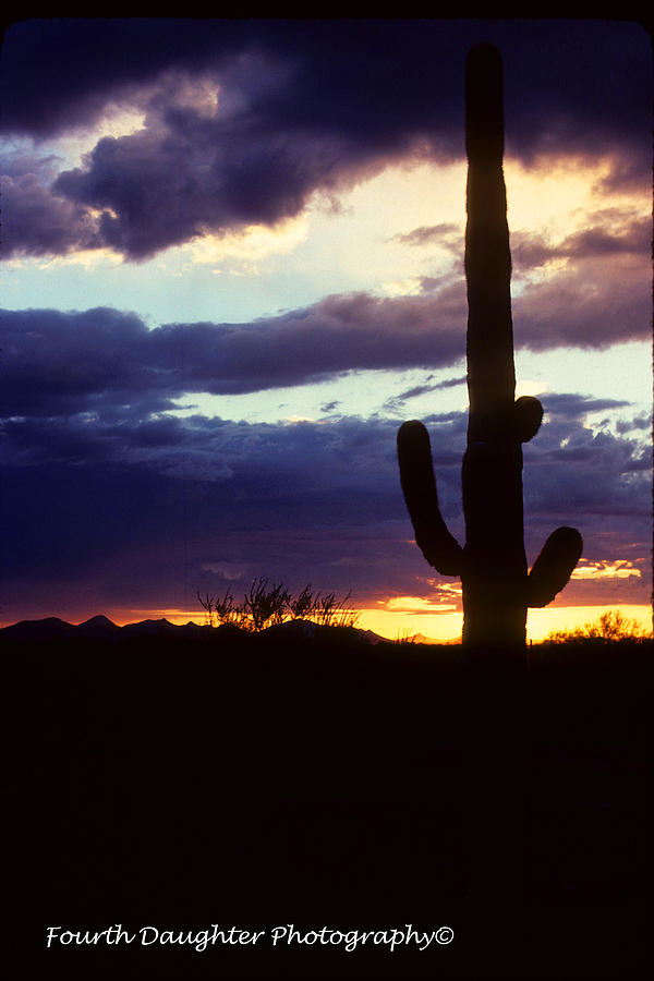 Desert Sunset Photograph by Diane Shirley
