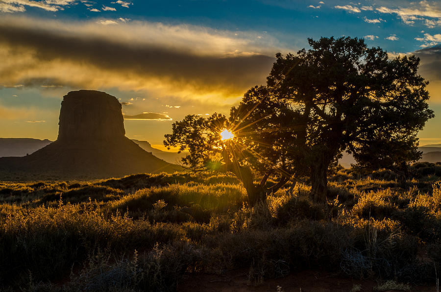 Landscape Photograph - Desert Sunset by Eric Albright