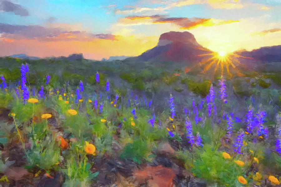 Desert Sunset Painting by Gary Grayson