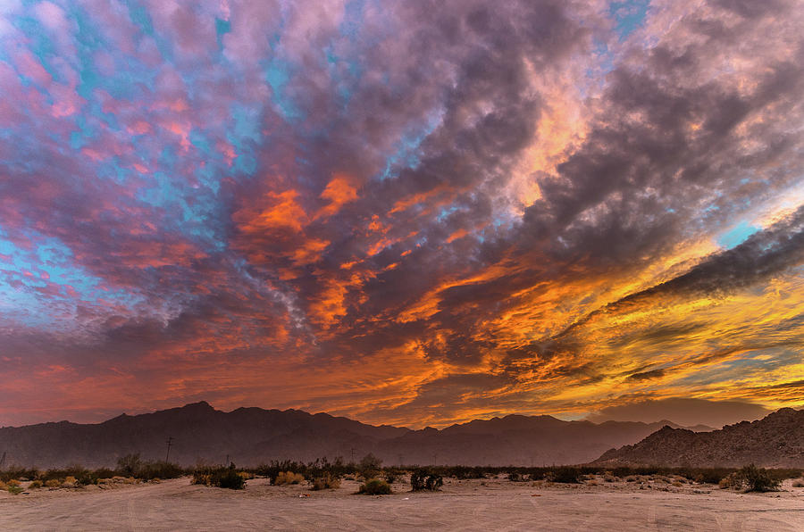 Desert Sunset Photograph by Greg Nyquist