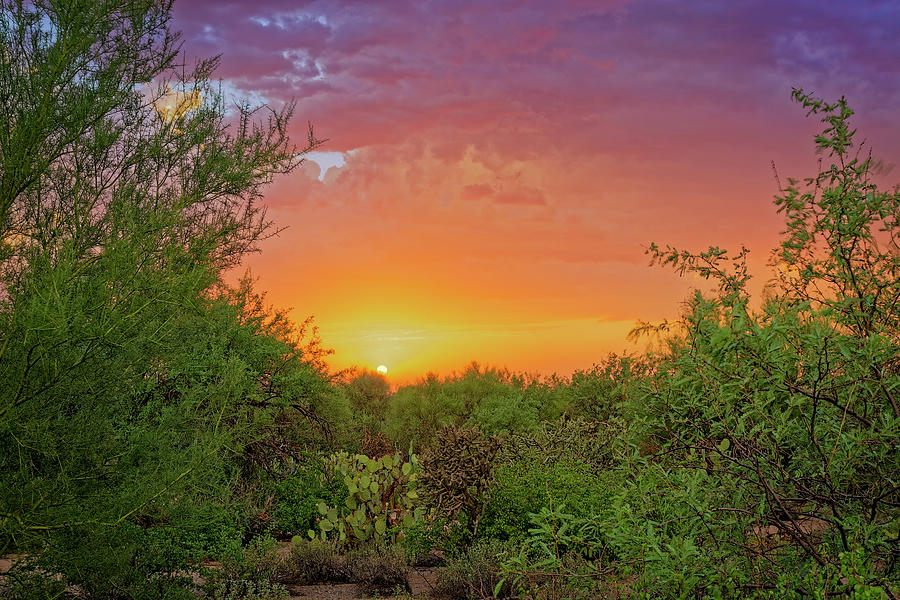 Desert Sunset h1832 Photograph by Mark Myhaver