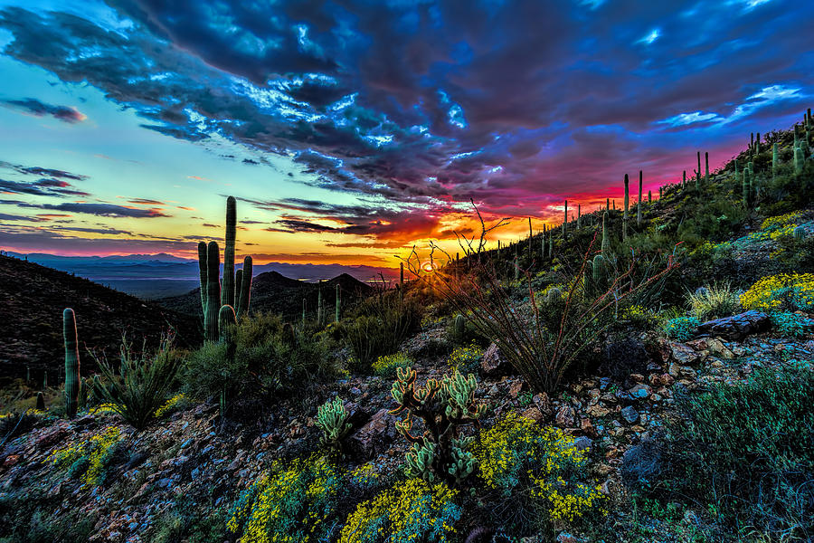 Desert Sunset HDR 01 Photograph by Josh Bryant