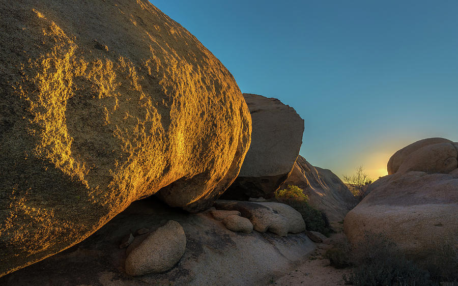 Desert Sunset Photograph by Joseph Smith