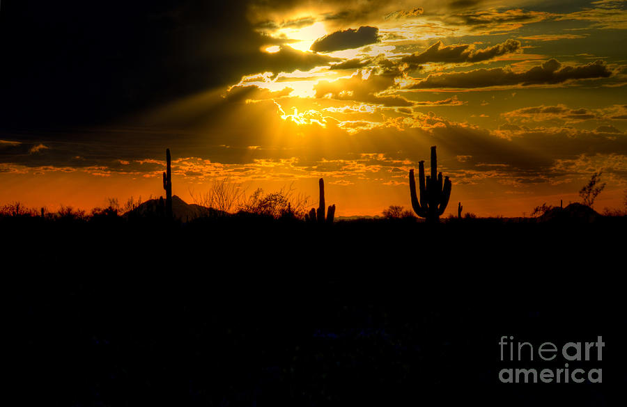 Desert Sunset Photograph by Kelly Wade