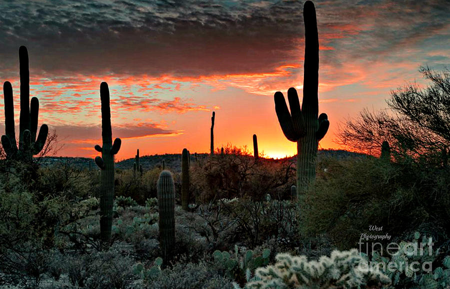 Desert Sunset Photograph by Ron West - Fine Art America
