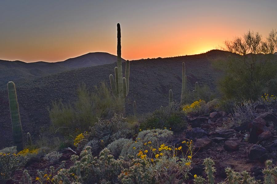 Desert Sunset Photograph by Susan Rifkin